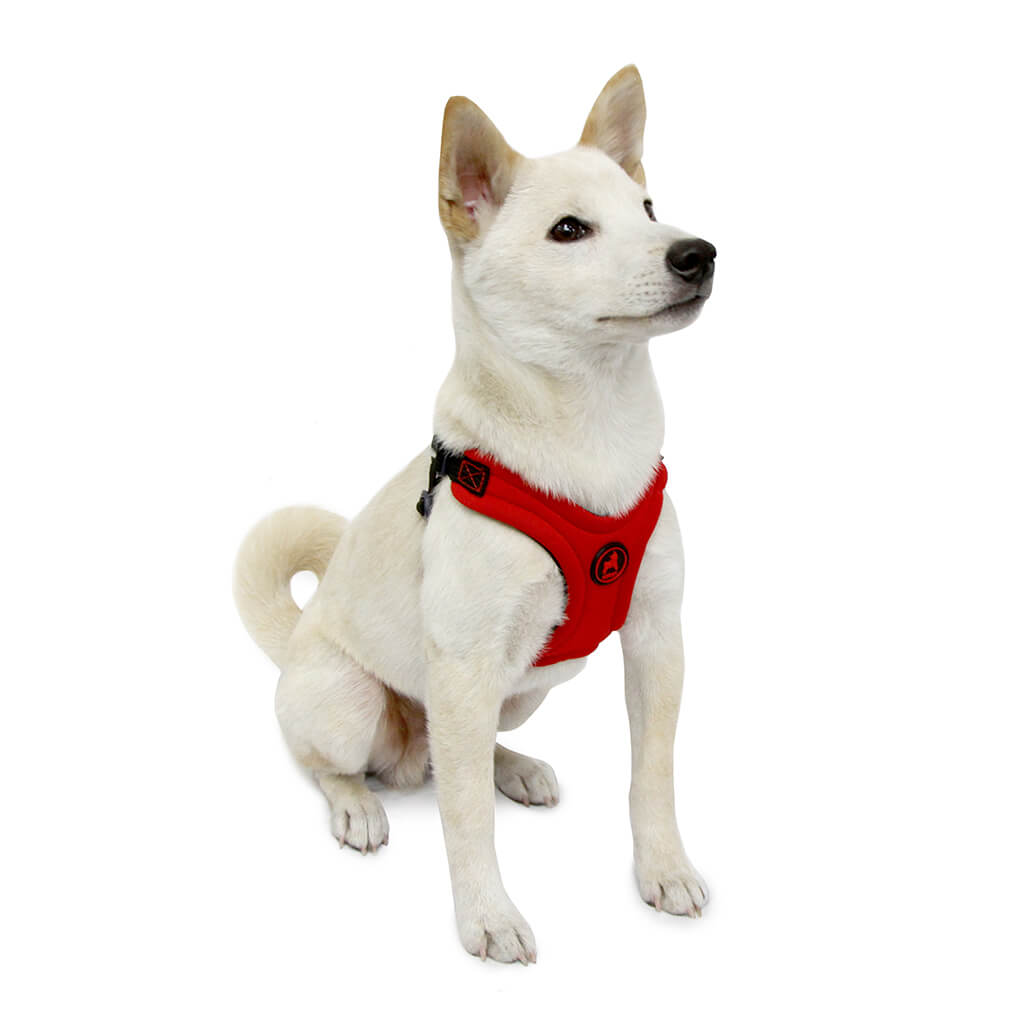 Escape Free Sport Harness
