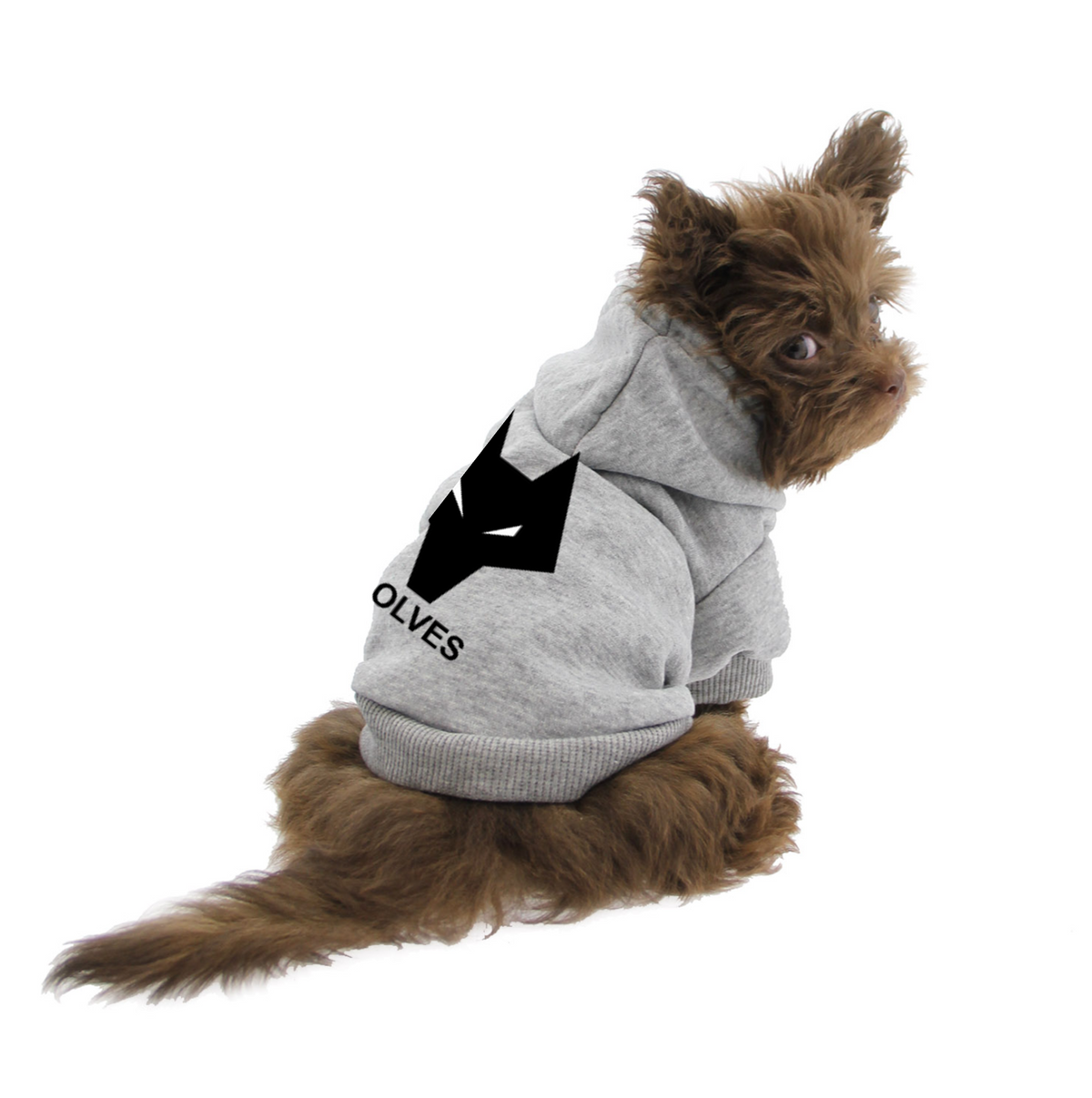 Wolverhampton FC Handmade Pet Hoodies