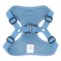 Blue Daisy Print & Mesh Wrap and Snap Choke Free Step In Harness