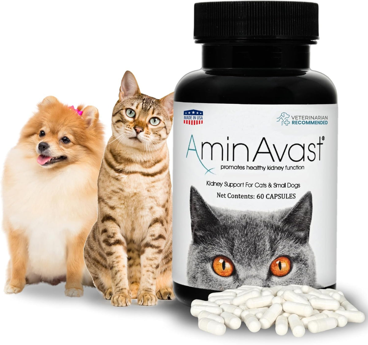 AminAvast Kidney Support for Cats, 60 capsules
