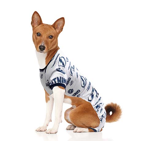 Tampa Bay Lightning Ice Girl Dog Dress – Athletic Pets