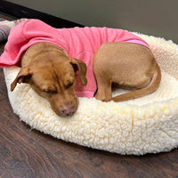 HuggleFleece® HuggleSnuggler™ Cat & Dog Beds