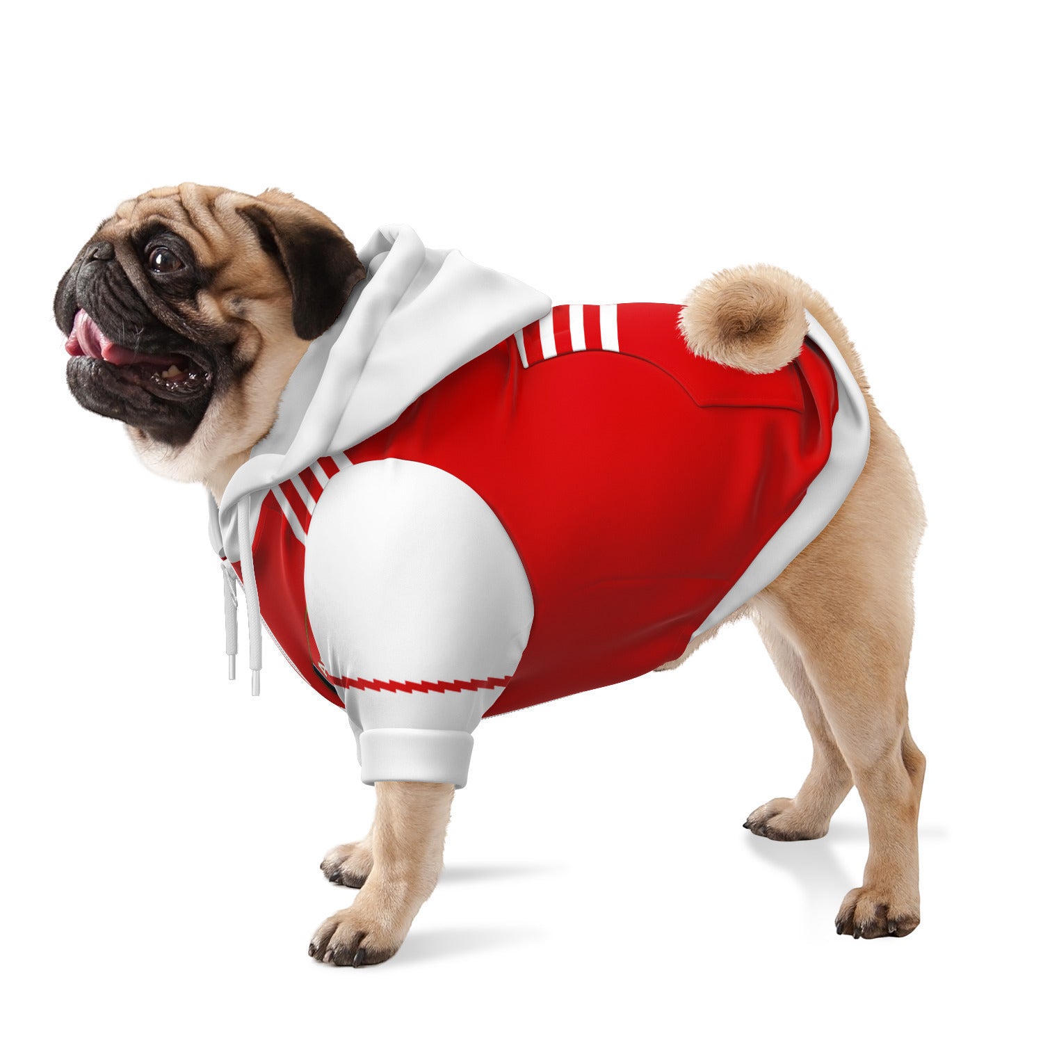 Arsenal hotsell dog sweater