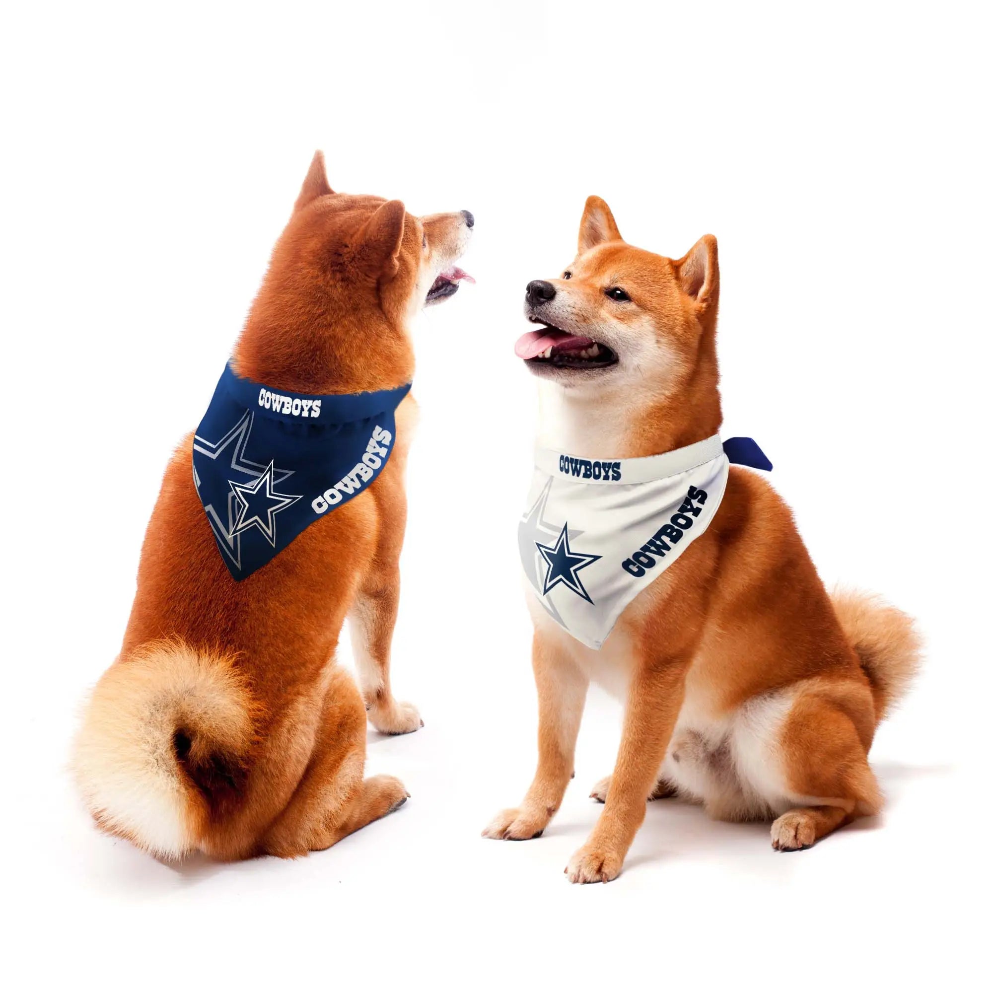 Cowboys dog best sale bandana