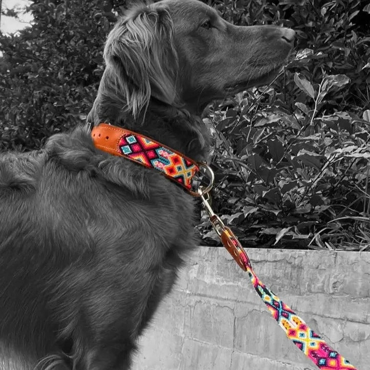 Artisan Rosa Handmade 4' Pet Leads