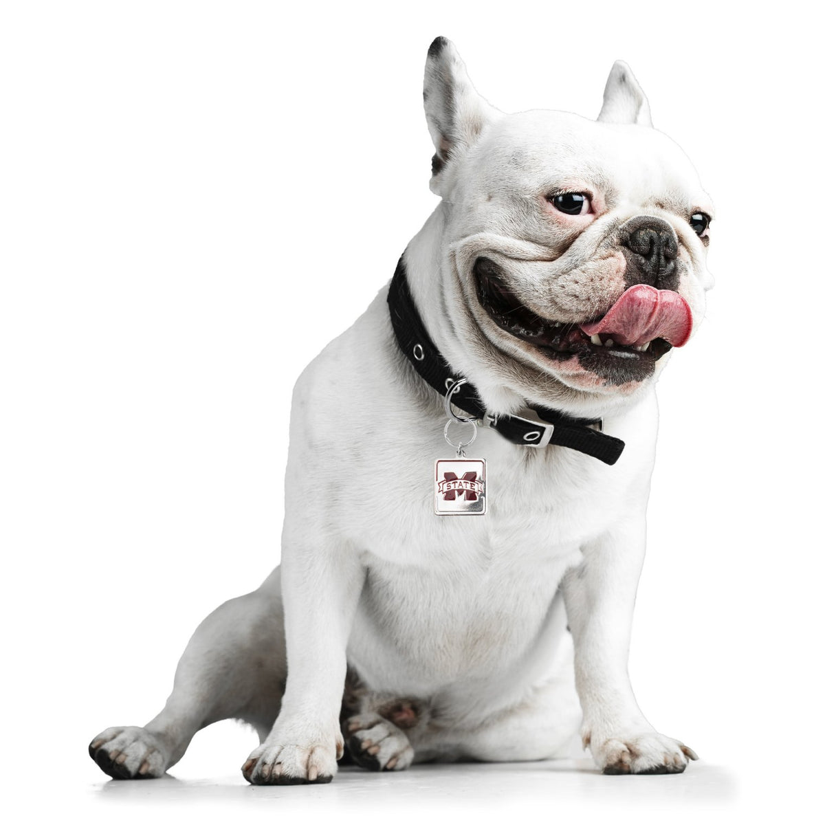 MS State Bulldogs Collar Square Charm - 3 Red Rovers