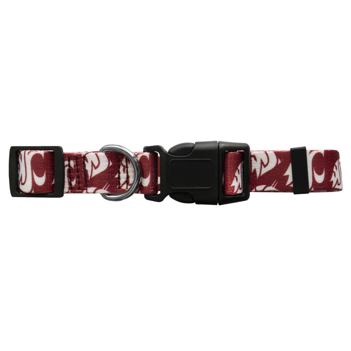 WA State Cougars Ltd Dog Collar or Leash - 3 Red Rovers