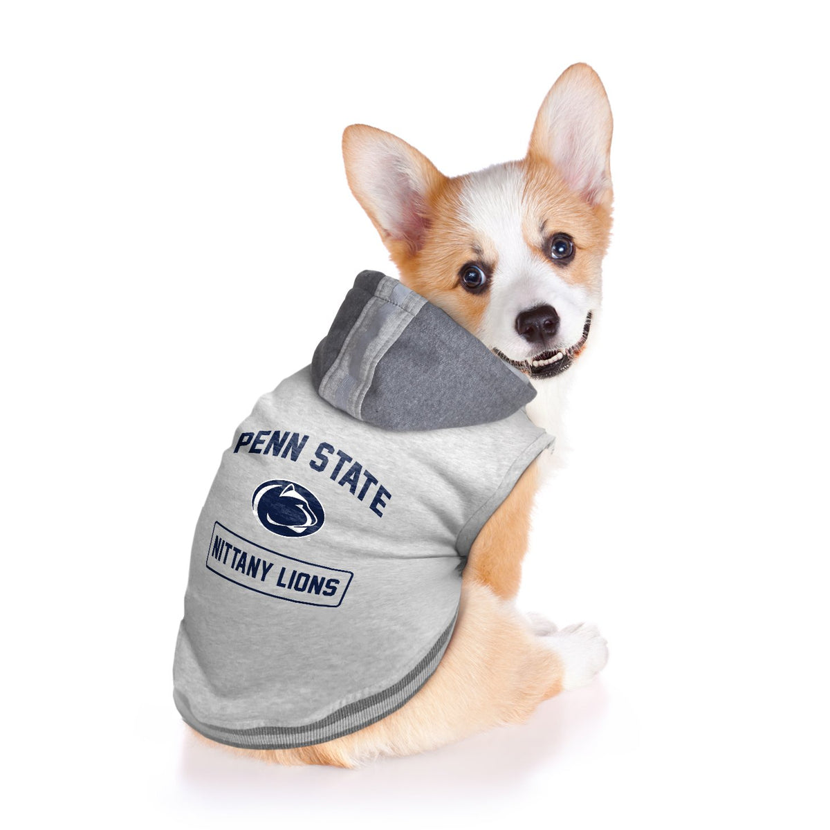 Penn State Nittany Lions Hooded Crewneck - 3 Red Rovers
