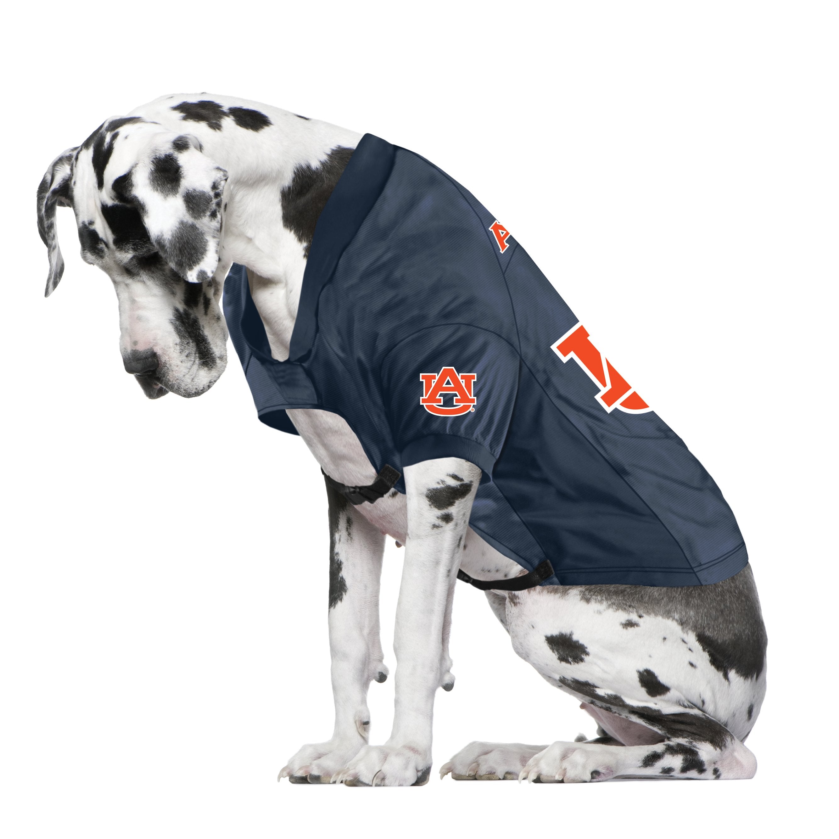 Auburn Tigers Big Dog Stretch Jersey