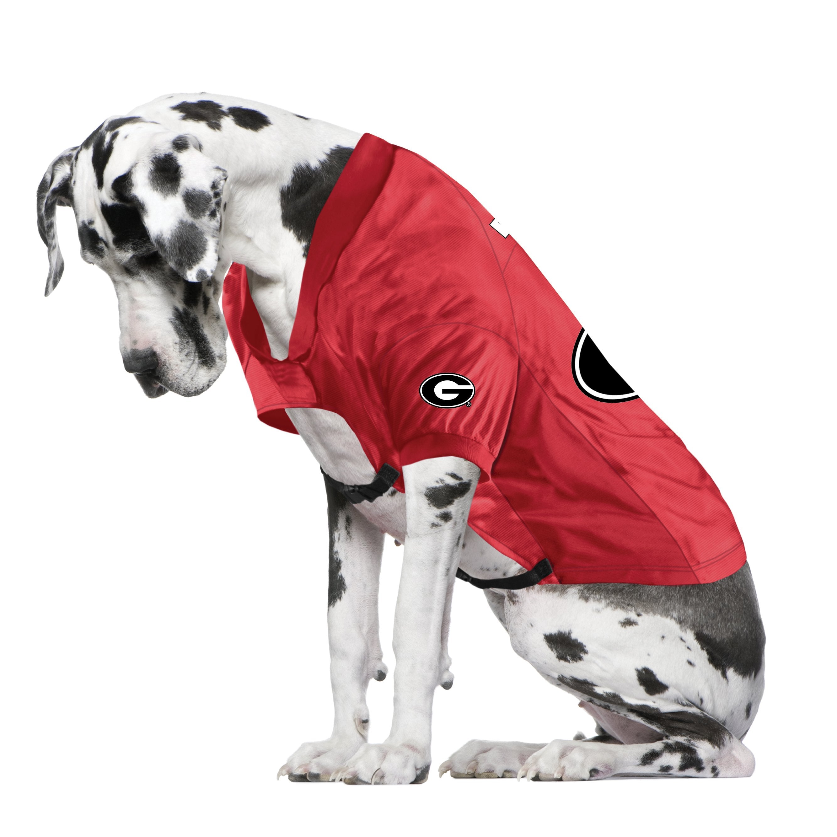 Official uga sales dog jersey