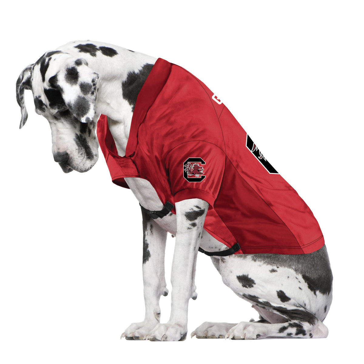 Louisville Cardinals dog stretch jersey big dog size