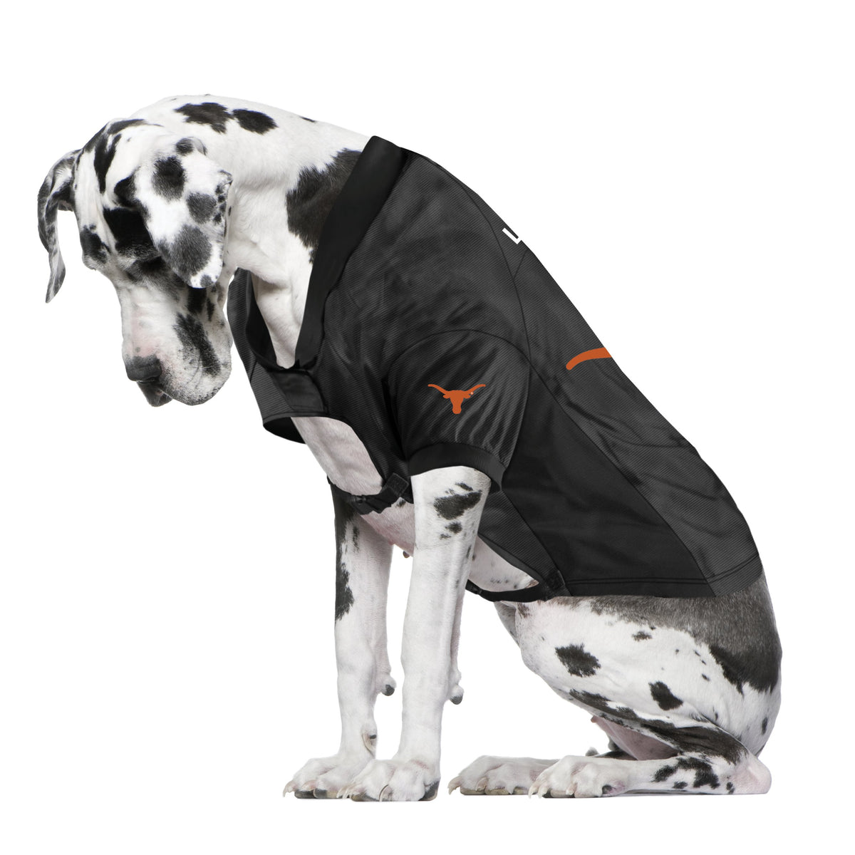 TX Longhorns Big Dog Stretch Jersey - 3 Red Rovers