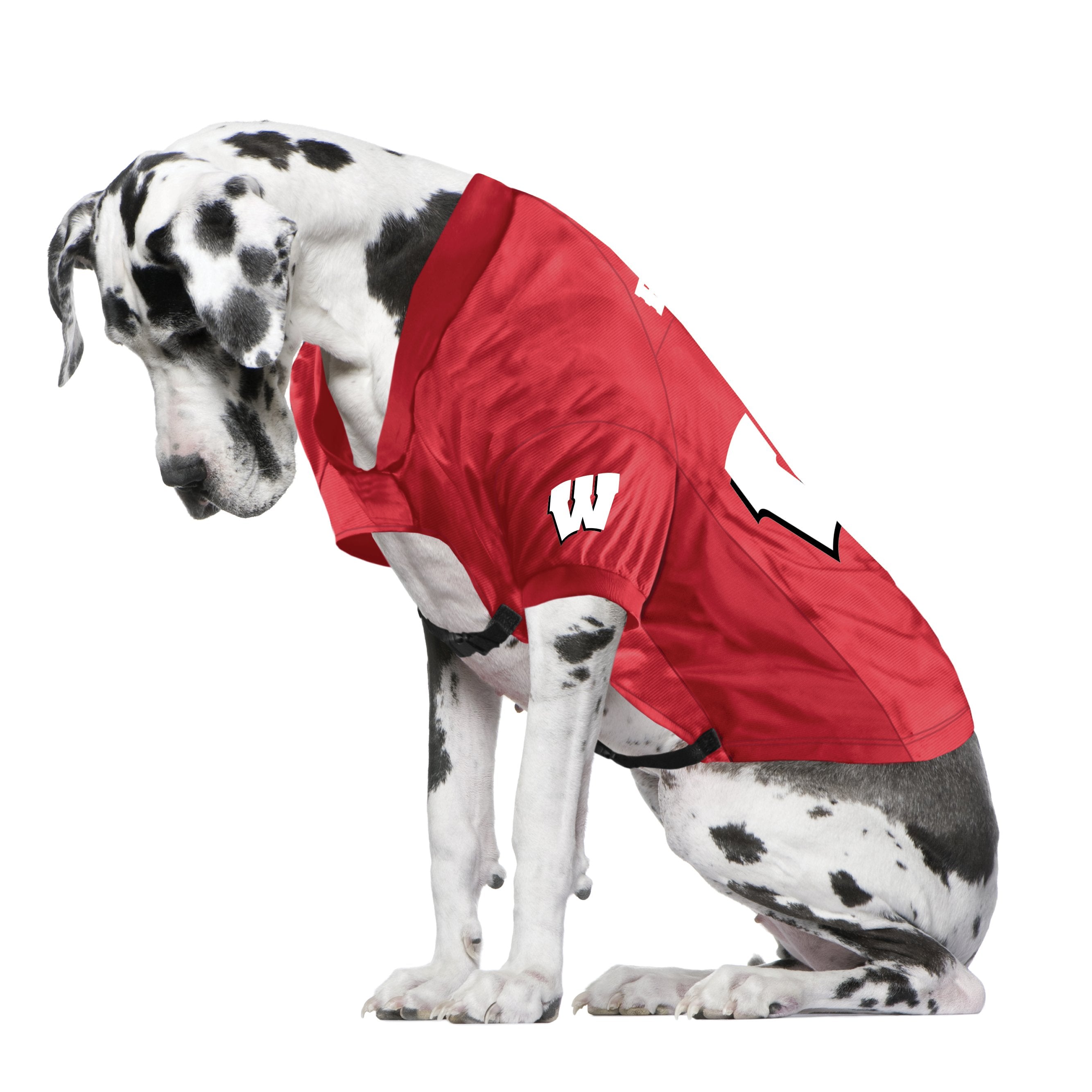 Wisconsin badger dog apparel cheap