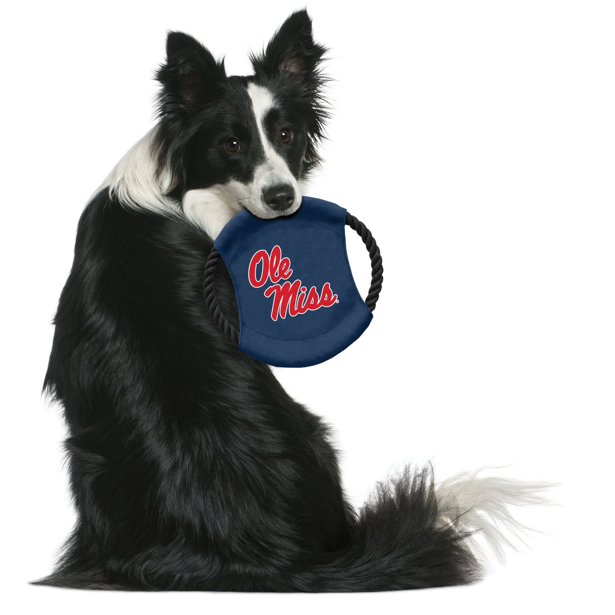 MS Ole Miss Rebels Flying Disc Toys - 3 Red Rovers