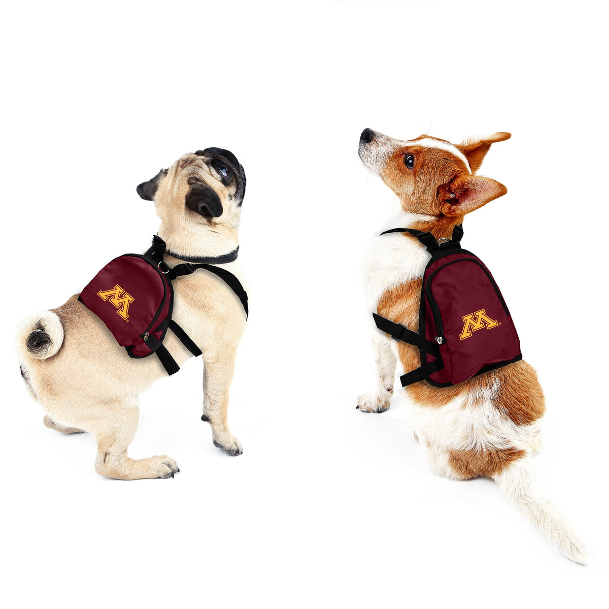 MN Golden Gophers Pet Mini Backpack - 3 Red Rovers