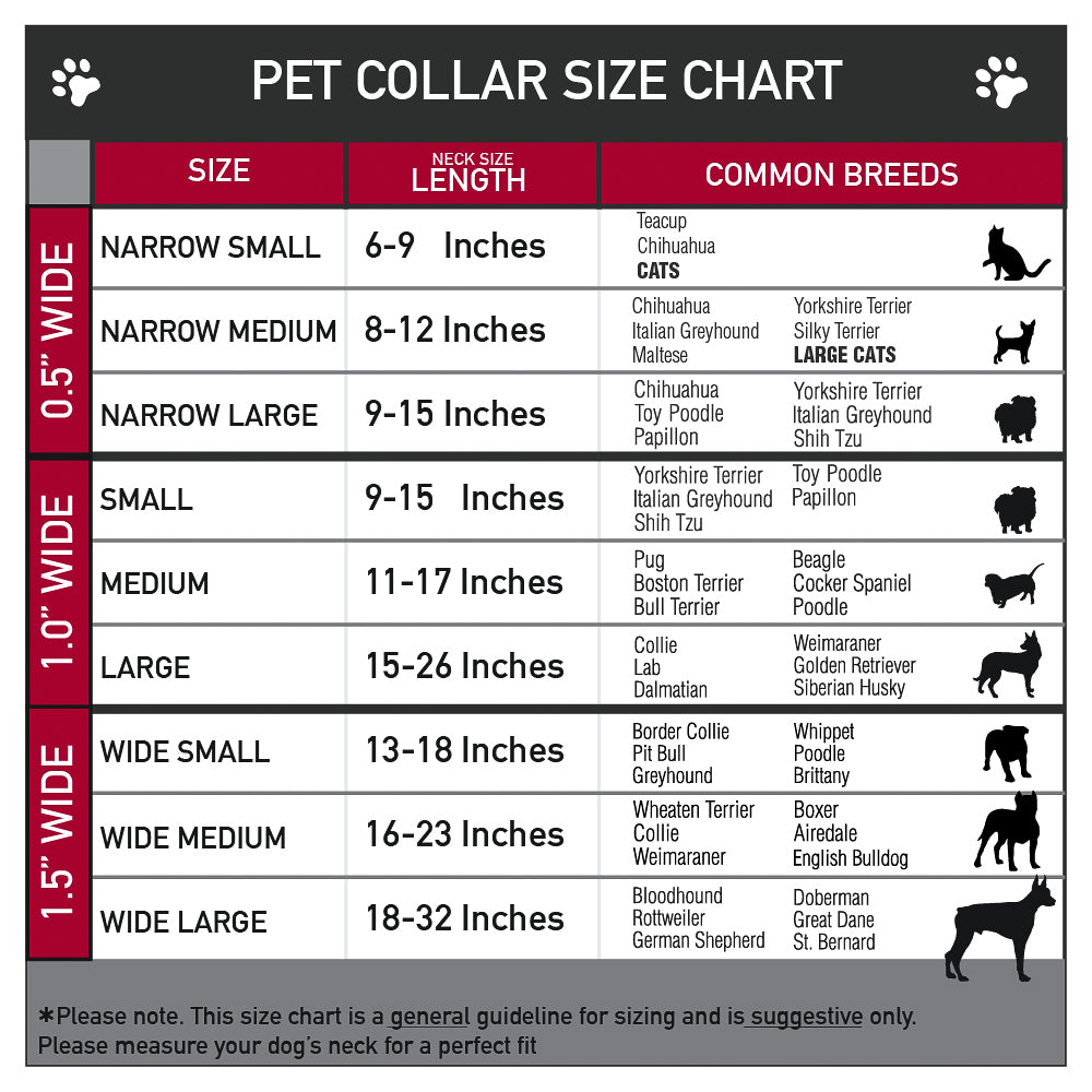 Mexico Flag Collar and Leash - 3 Red Rovers