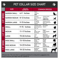 Mexico Flag Collar and Leash - 3 Red Rovers