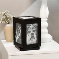 Rotating Pet Memory Box, Black - 3 Red Rovers