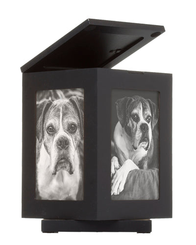 Rotating Pet Memory Box, Black - 3 Red Rovers