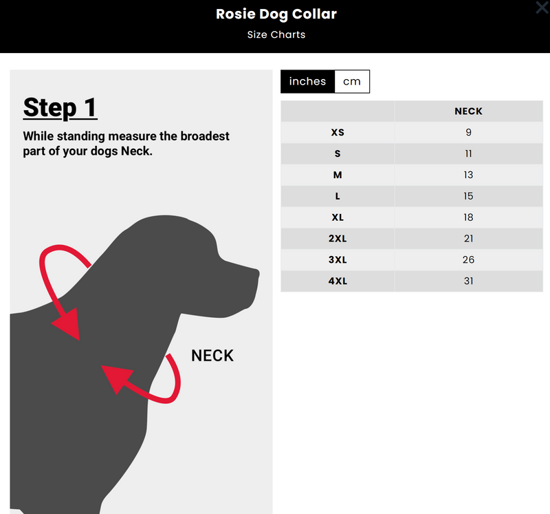 Rosie Stainless Steel Dog Collar