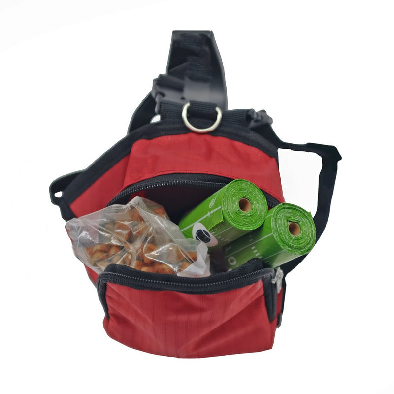 WI Badgers Pet Mini Backpack - 3 Red Rovers