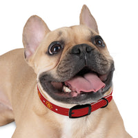 Manchester United FC Dog Collar - 3 Red Rovers