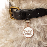 I'm Lost, Gold & White Pet ID Tag - 3 Red Rovers