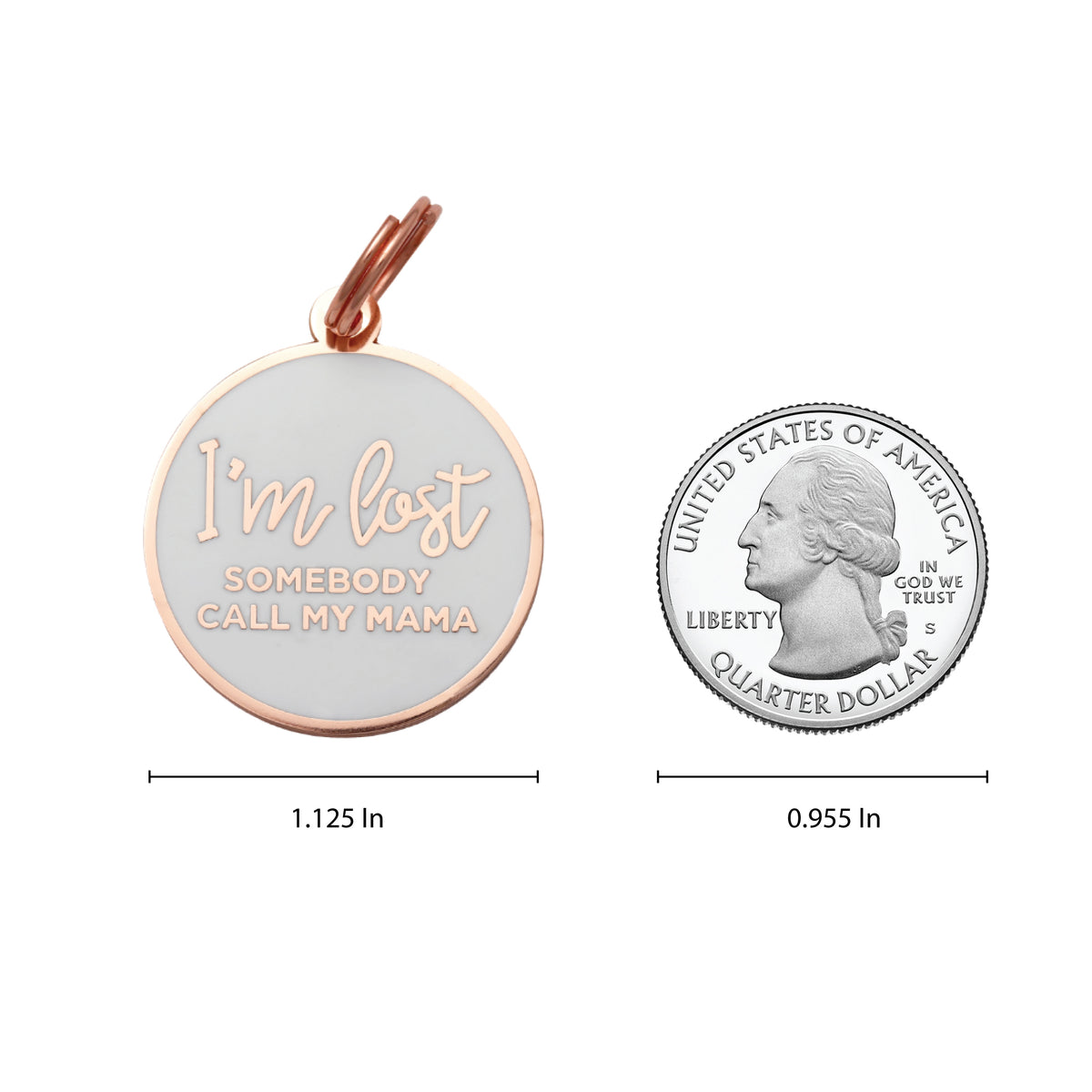 I'm Lost, Gold & White Pet ID Tag - 3 Red Rovers
