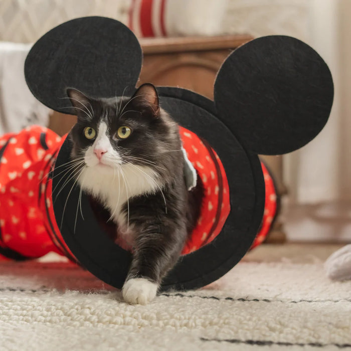 Disney Mickey Mouse Peek-a-Boo Collapsible Cat Tunnel