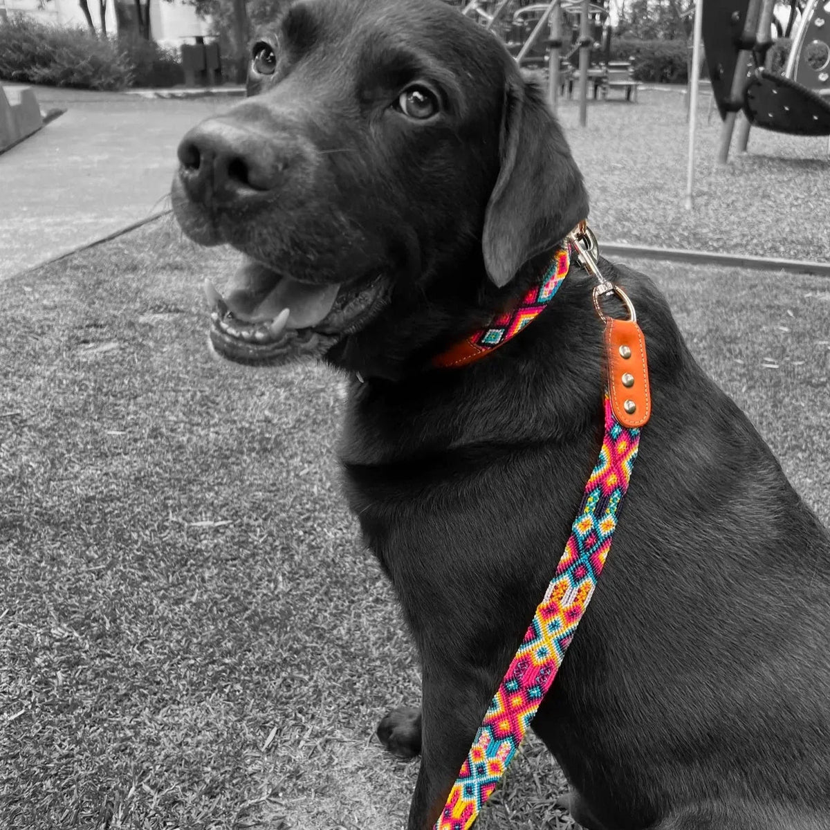 Philadelphia Phillies Dog Bandana Adjustable Collar Dog -  UK