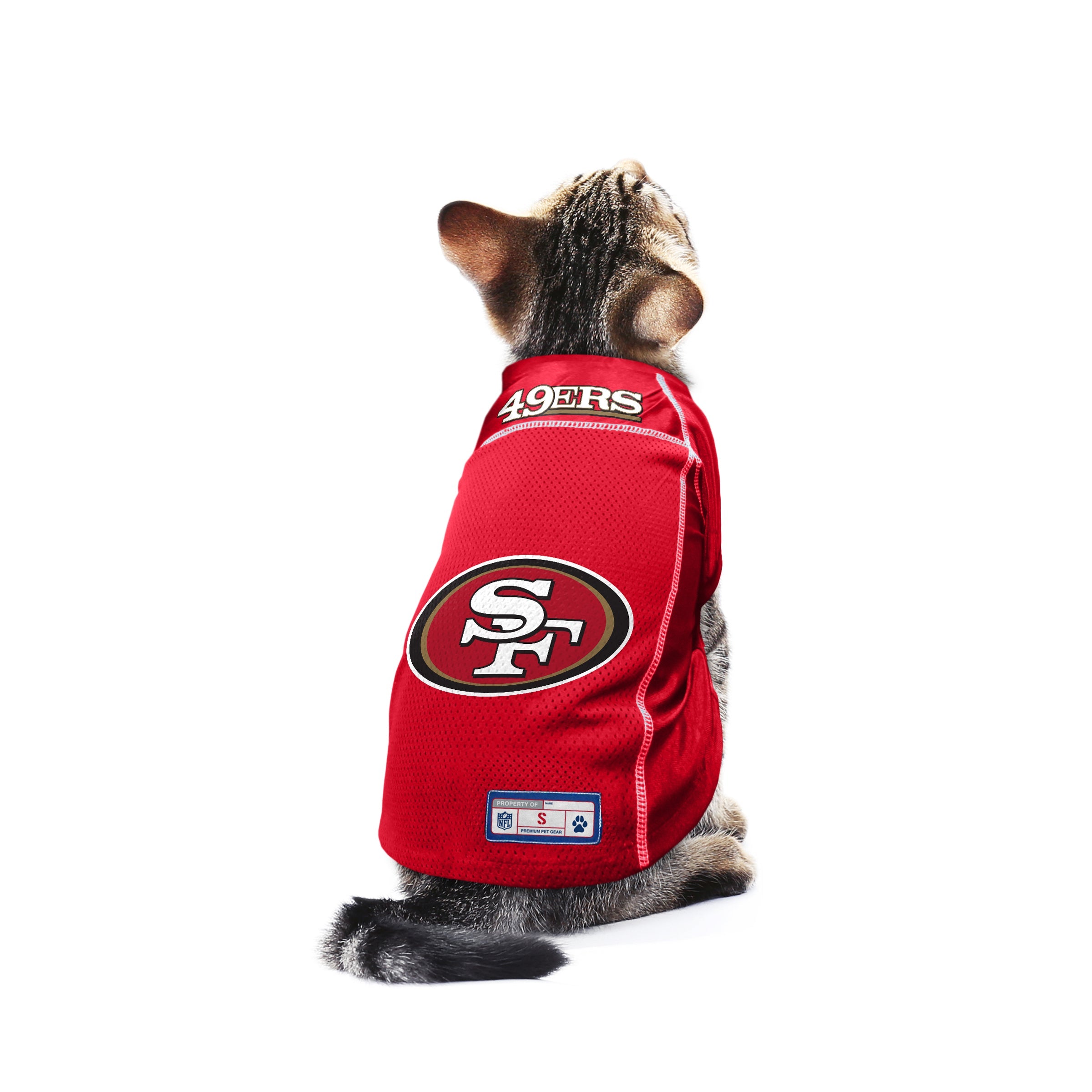 49ers cat jersey