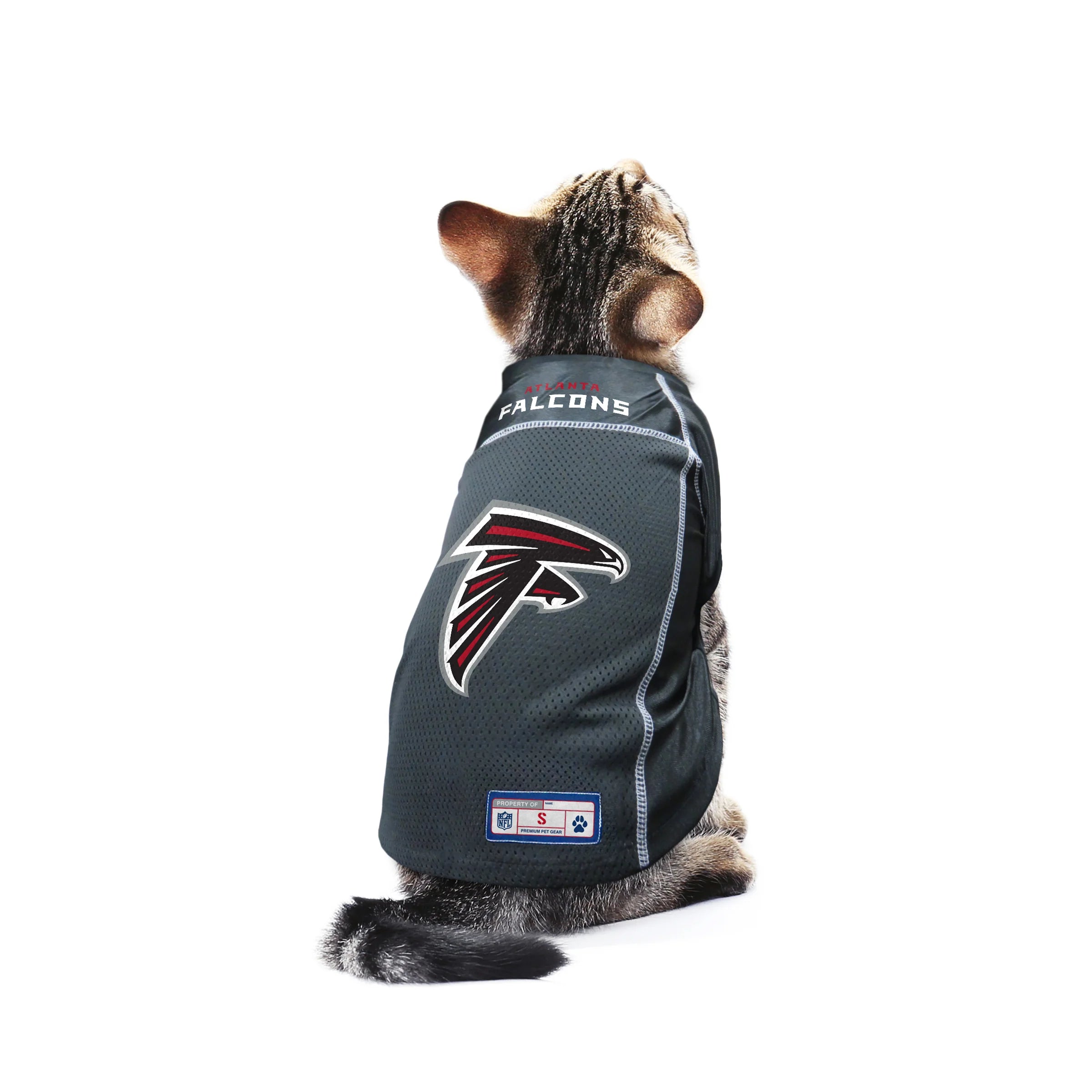 Falcons on sale dog jersey