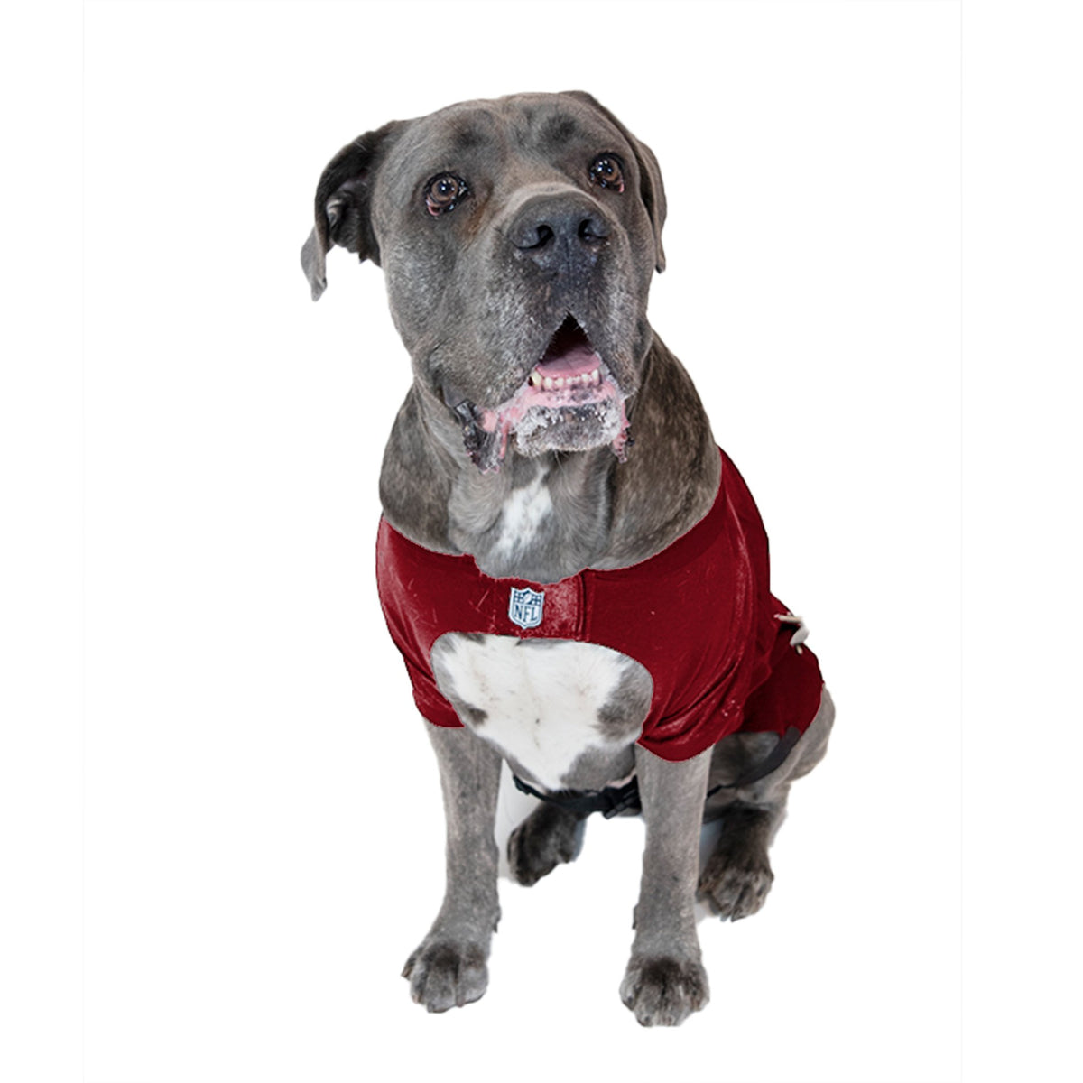 San Francisco 49ers Big Dog Stretch Jersey – 3 Red Rovers