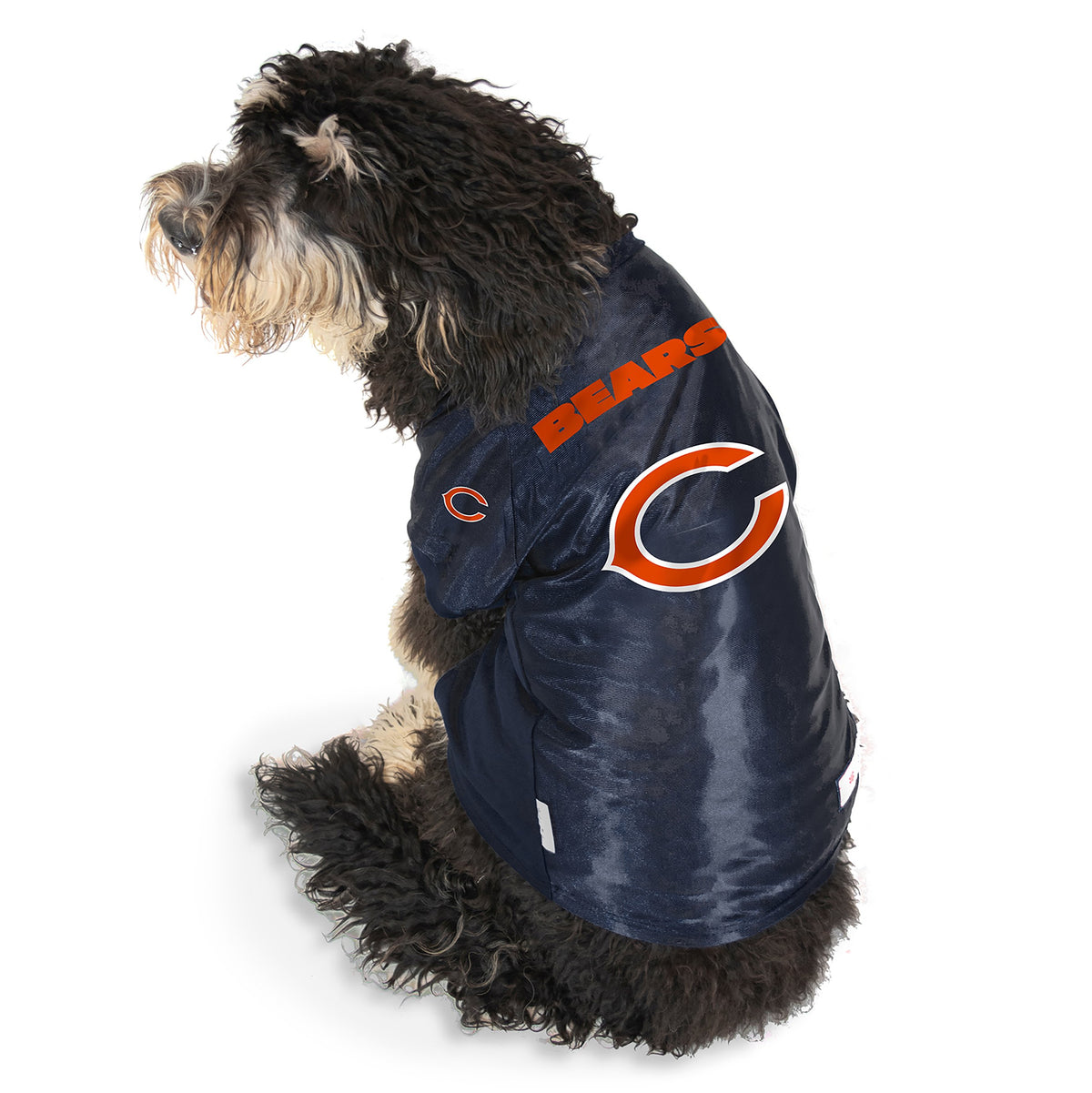 Chicago Bears Big Dog Stretch Jersey