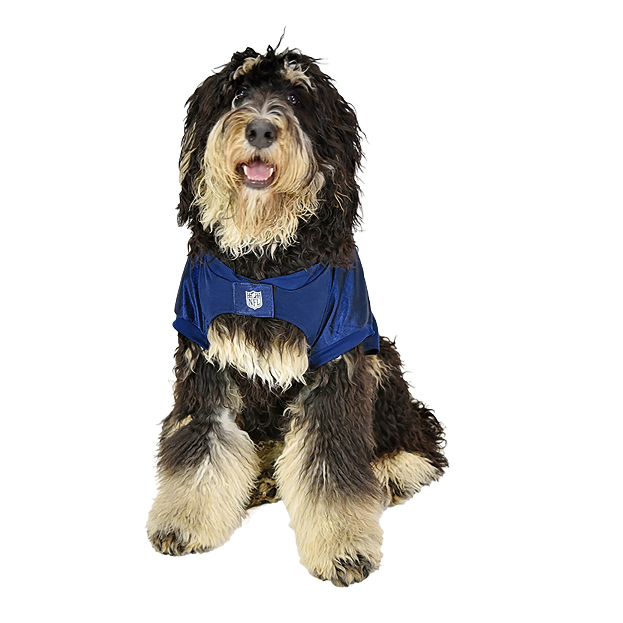 Columbus blue sale jackets dog jersey