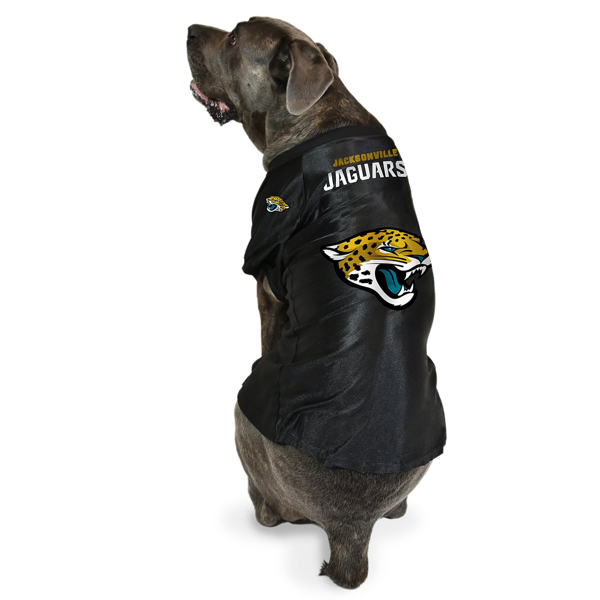 Jacksonville Jaguars Big Dog Stretch Jersey