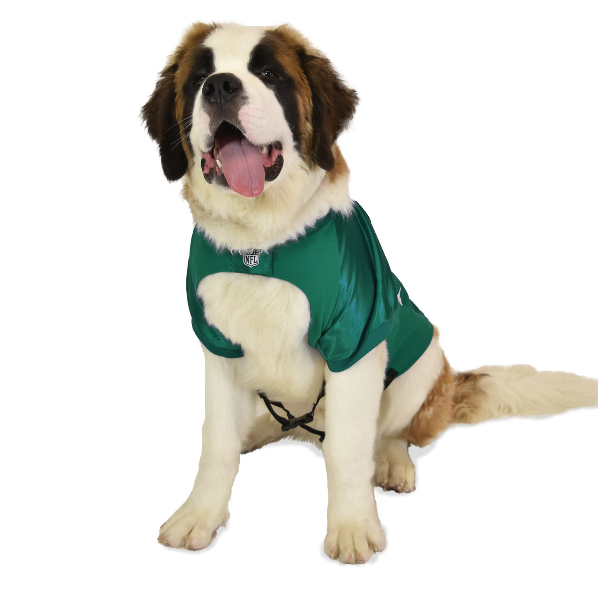 New York Jets Big Dog Stretch Jersey – 3 Red Rovers