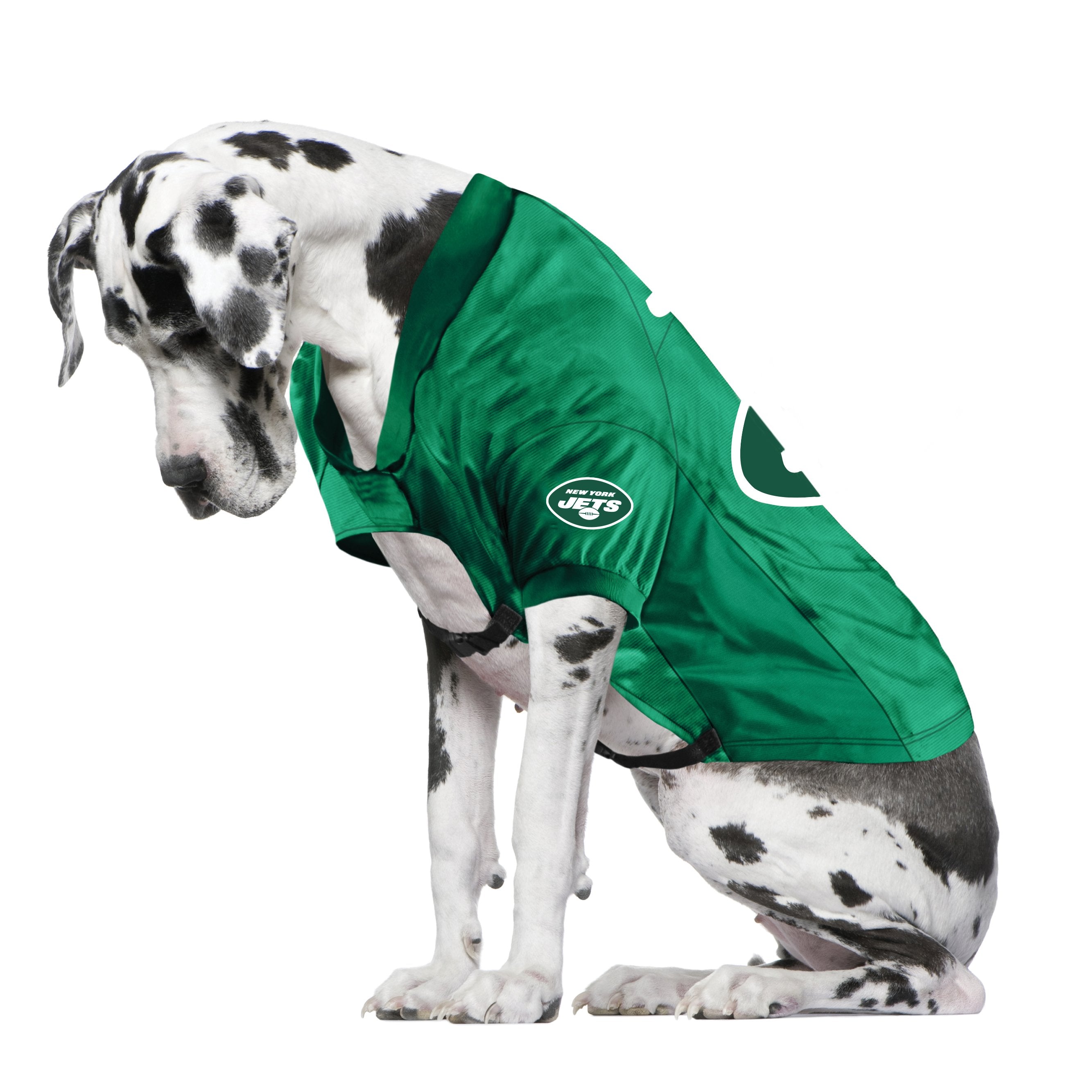 Jets 2025 dog jersey