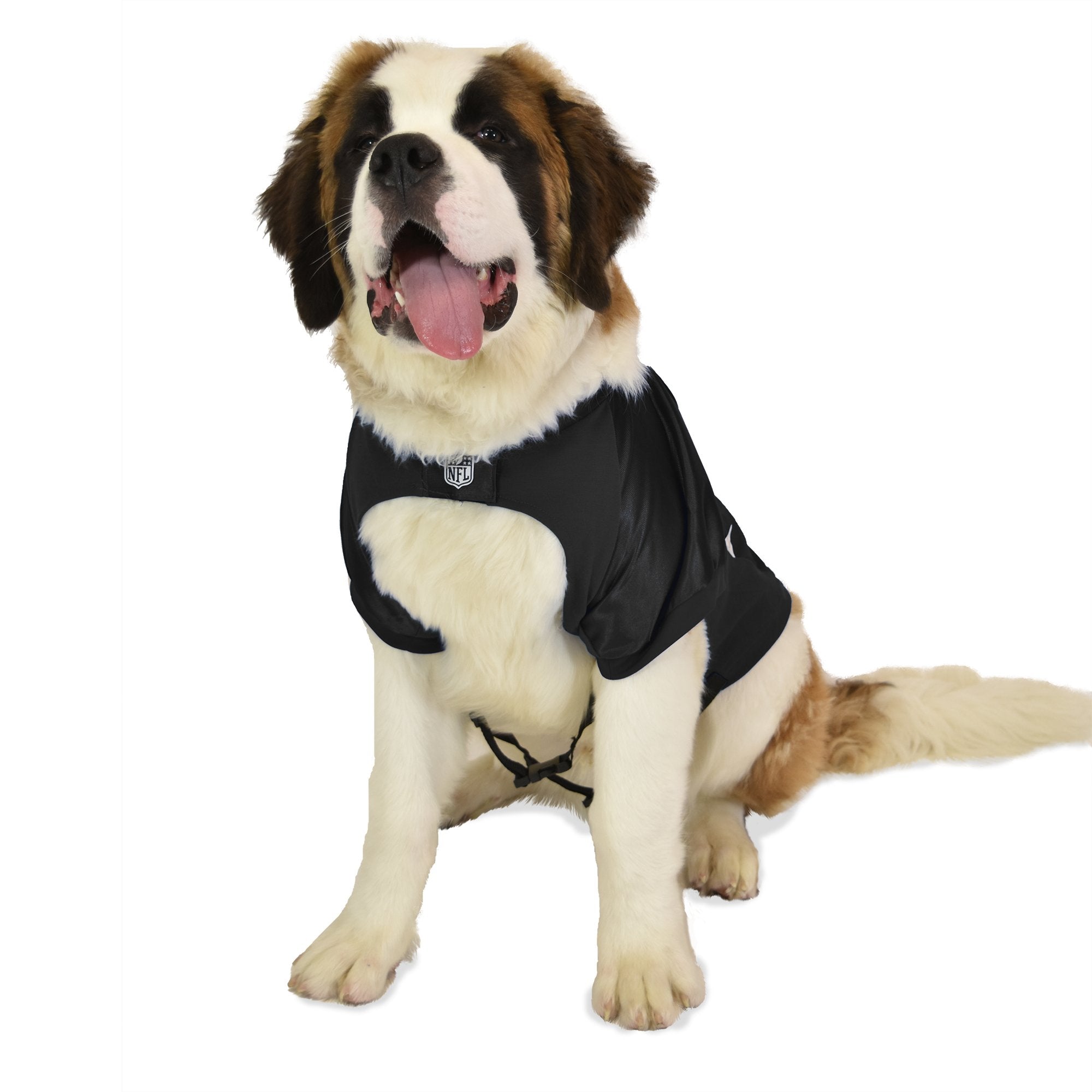 : Pets First NFL Las Vegas Raiders Dog T-Shirt, Football Dogs &  Cats Shirt - Durable Sports PET TEE - 3 Sizes, NFL PET Outfit, Reflective  TEE Shirt in Team Color