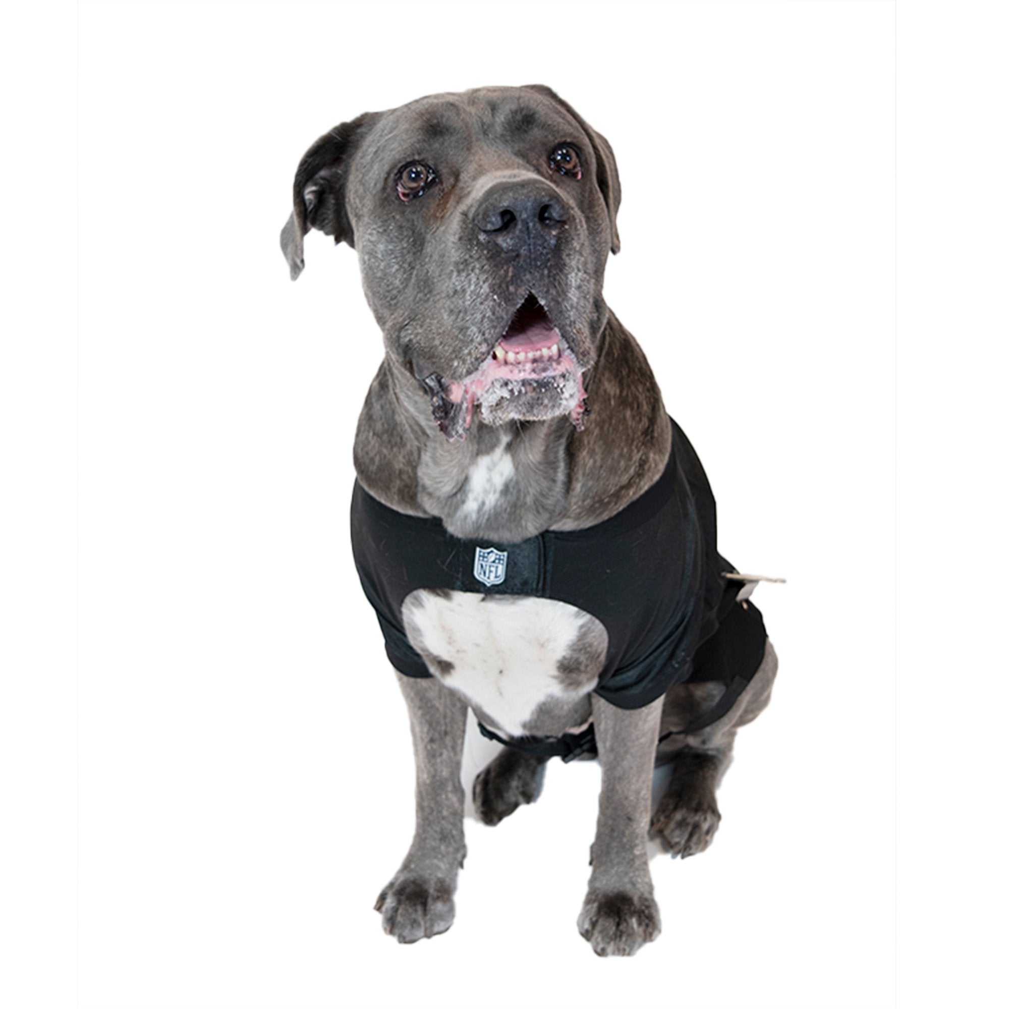 Baltimore Ravens Big Dog Stretch Jersey 3 Red Rovers