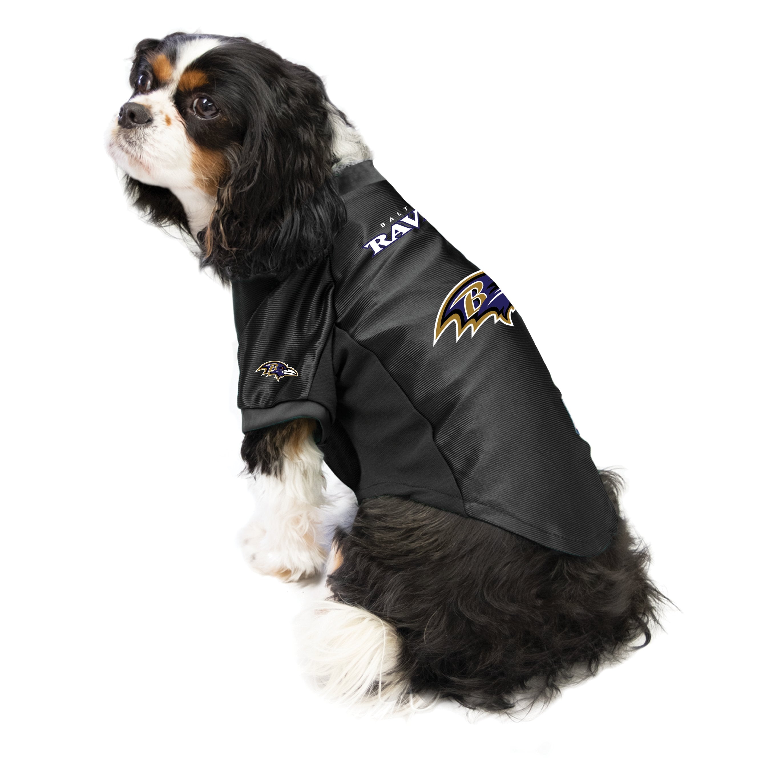 Baltimore ravens shop dog jersey