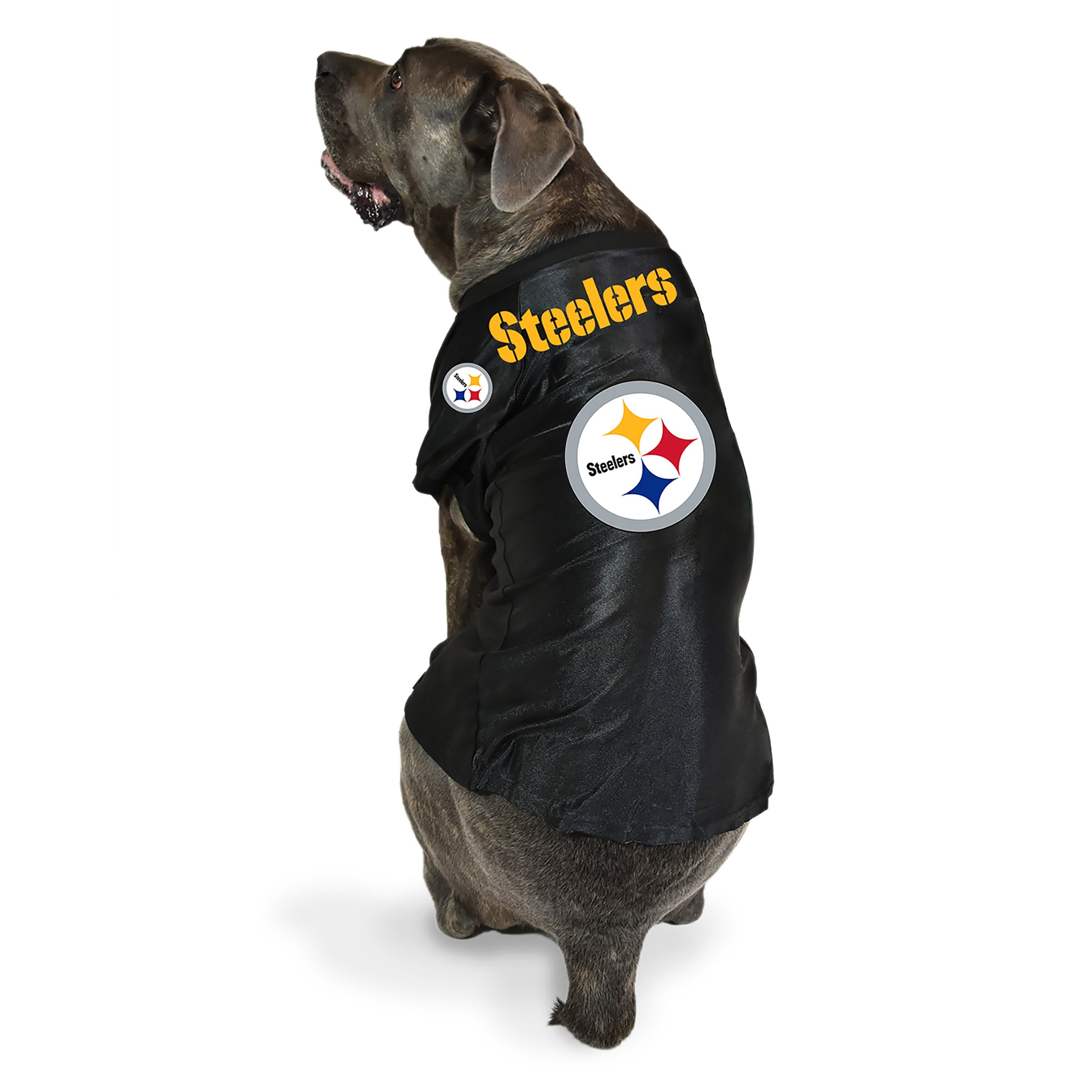 Steelers store dog hoodie