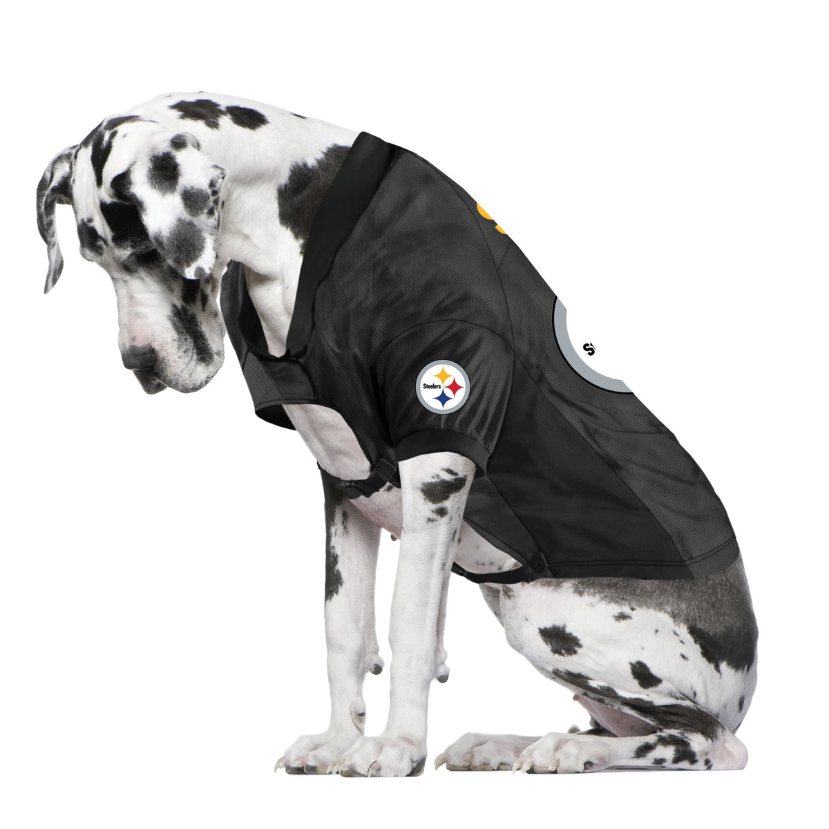 Pittsburgh Steelers Big Dog Stretch Jersey - 3 Red Rovers