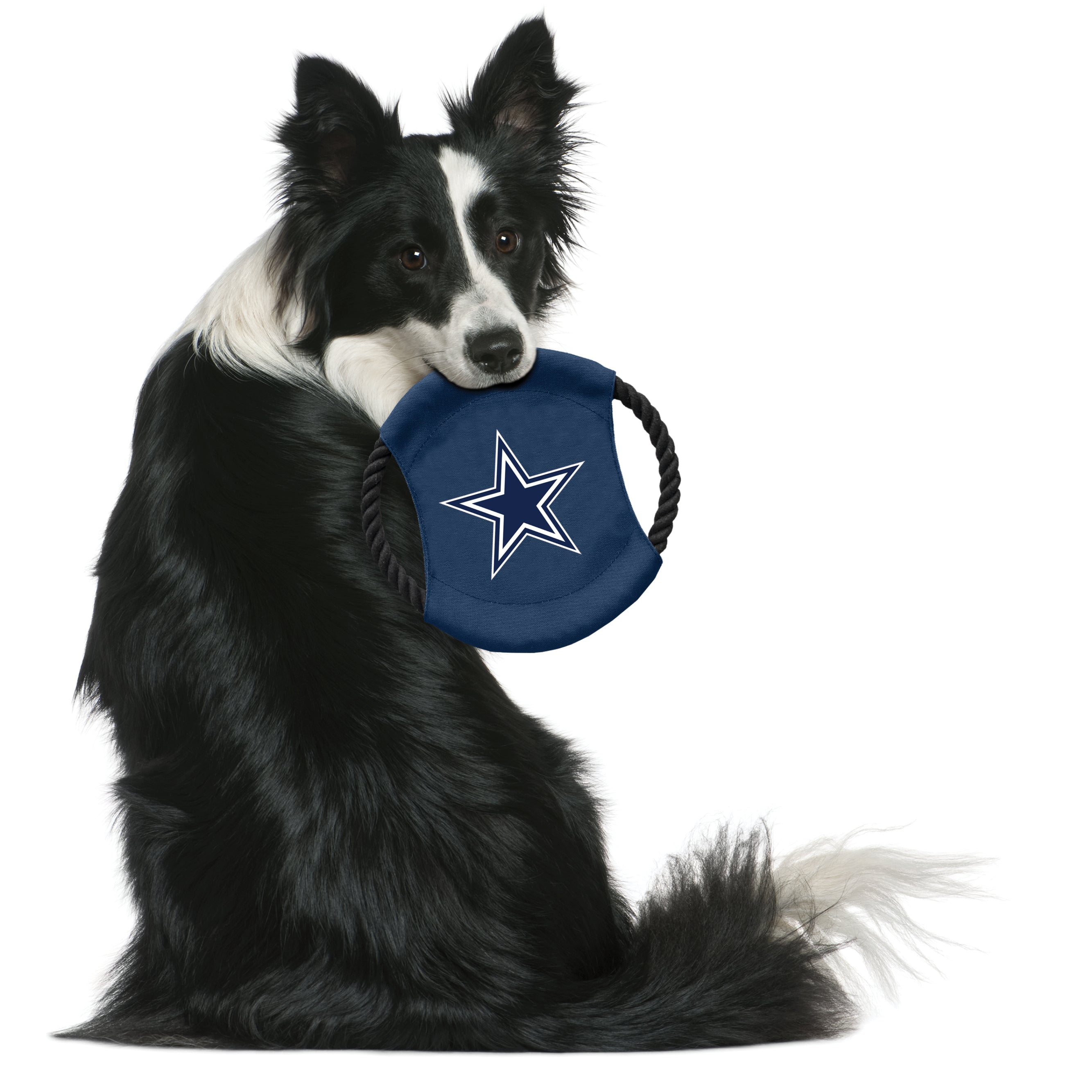 Dallas cowboys 2024 pet gear