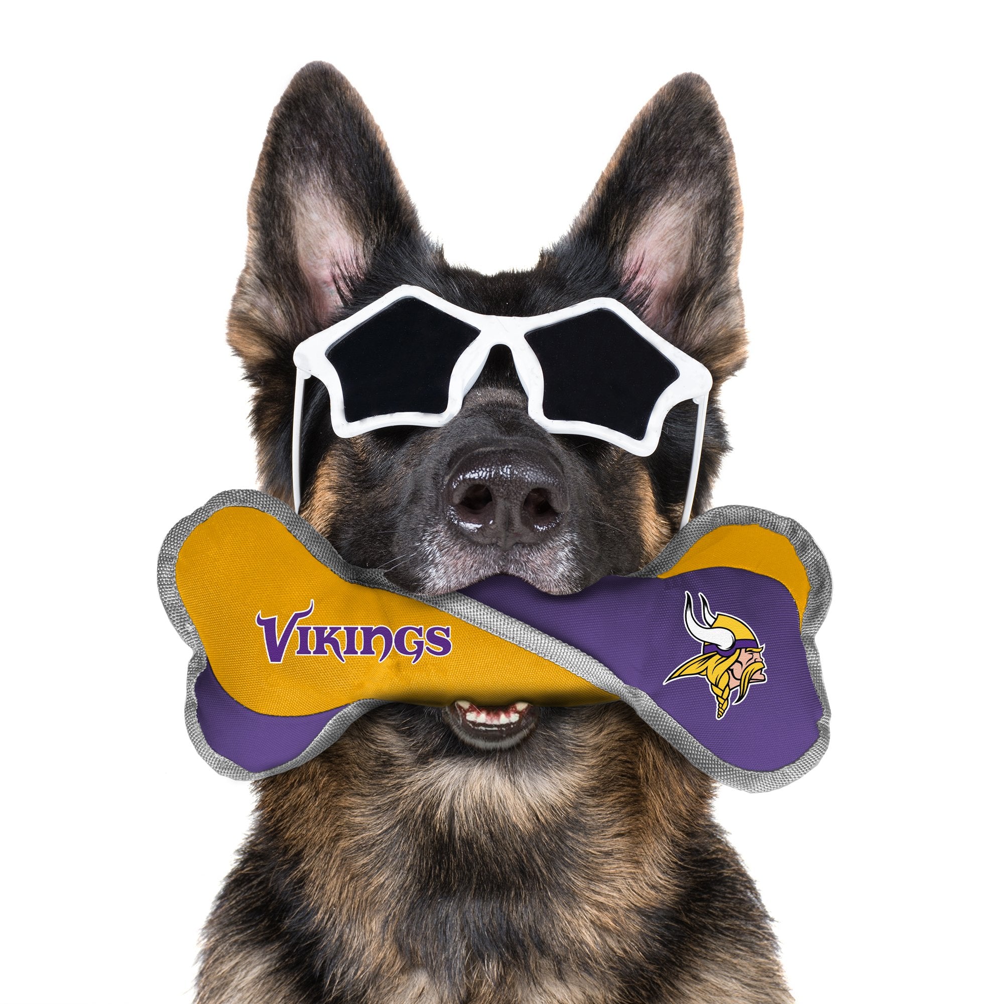 Vikings sale dog jersey