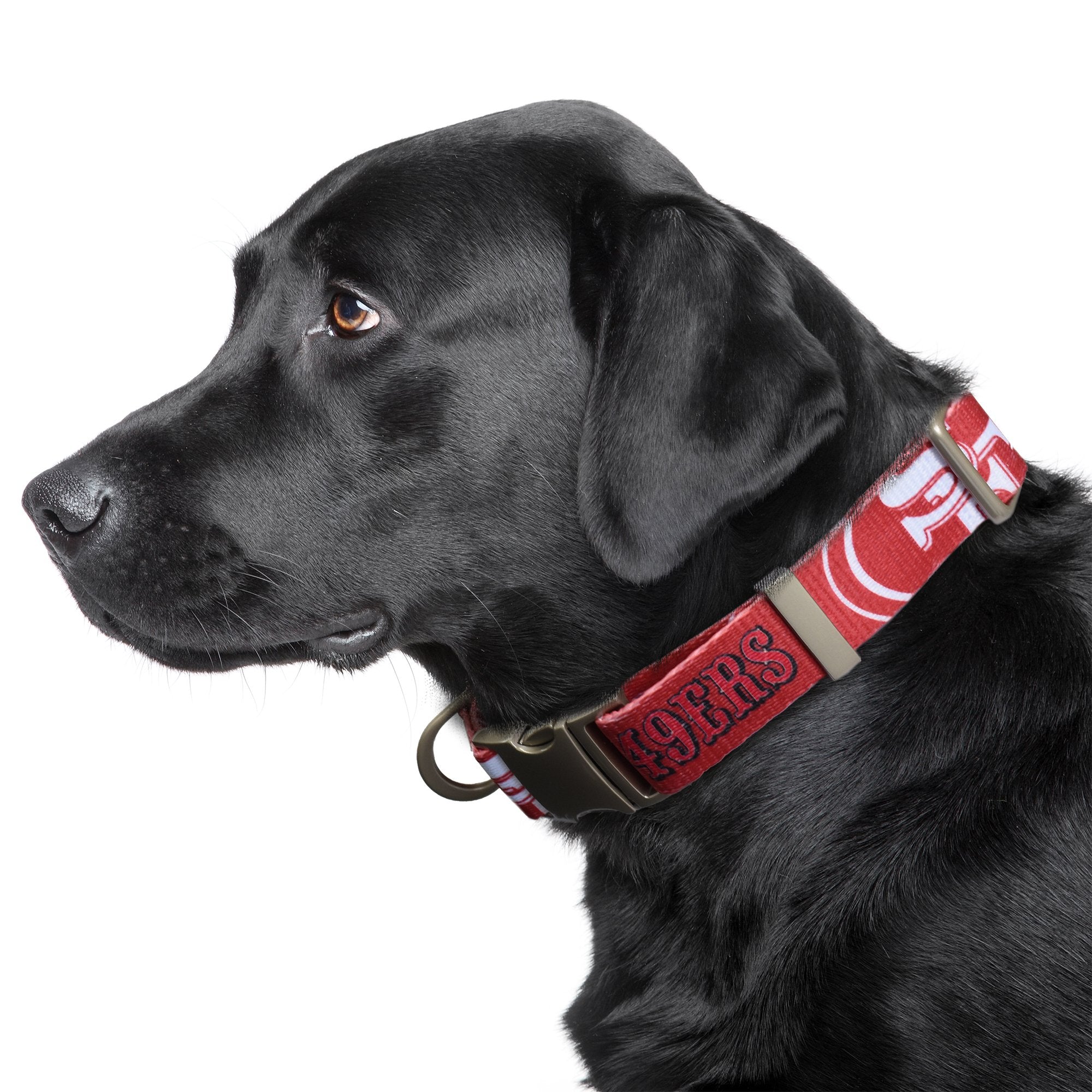 San Francisco 49ers Premium Dog Collar or Leash 3 Red Rovers