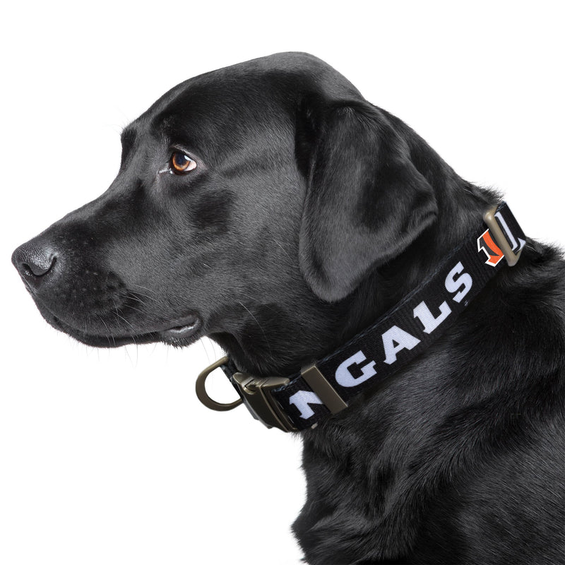 Cincinnati Bengals Premium Dog Collar or Leash - 3 Red Rovers