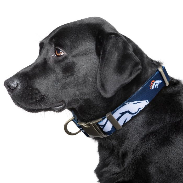 Denver Broncos Premium Dog Collar or Leash - 3 Red Rovers