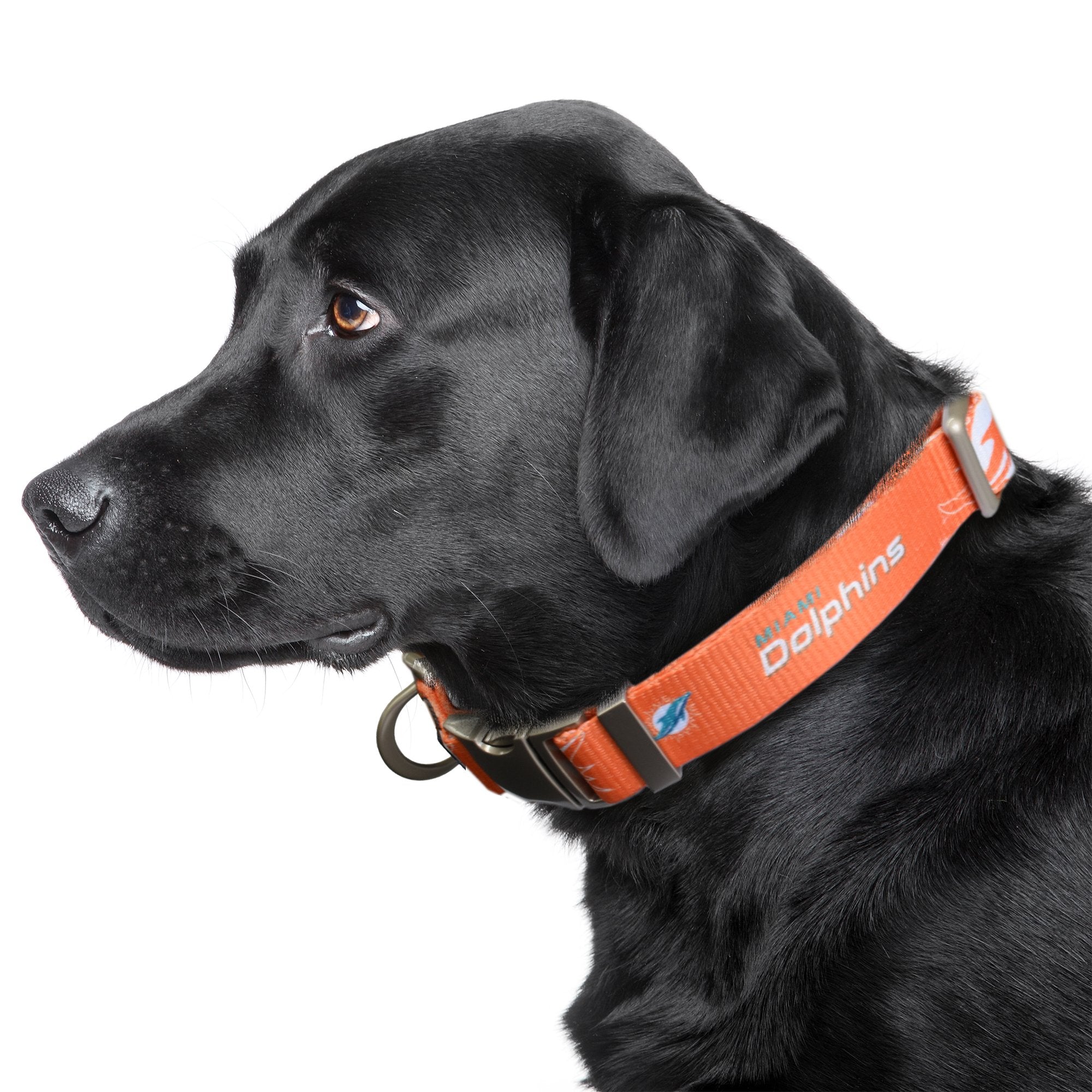 Miami Dolphins Premium Dog Collar or Leash