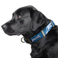 Philadelphia Eagles Premium Dog Collar or Leash - 3 Red Rovers